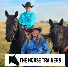 The Horse Trainers 2 program logo